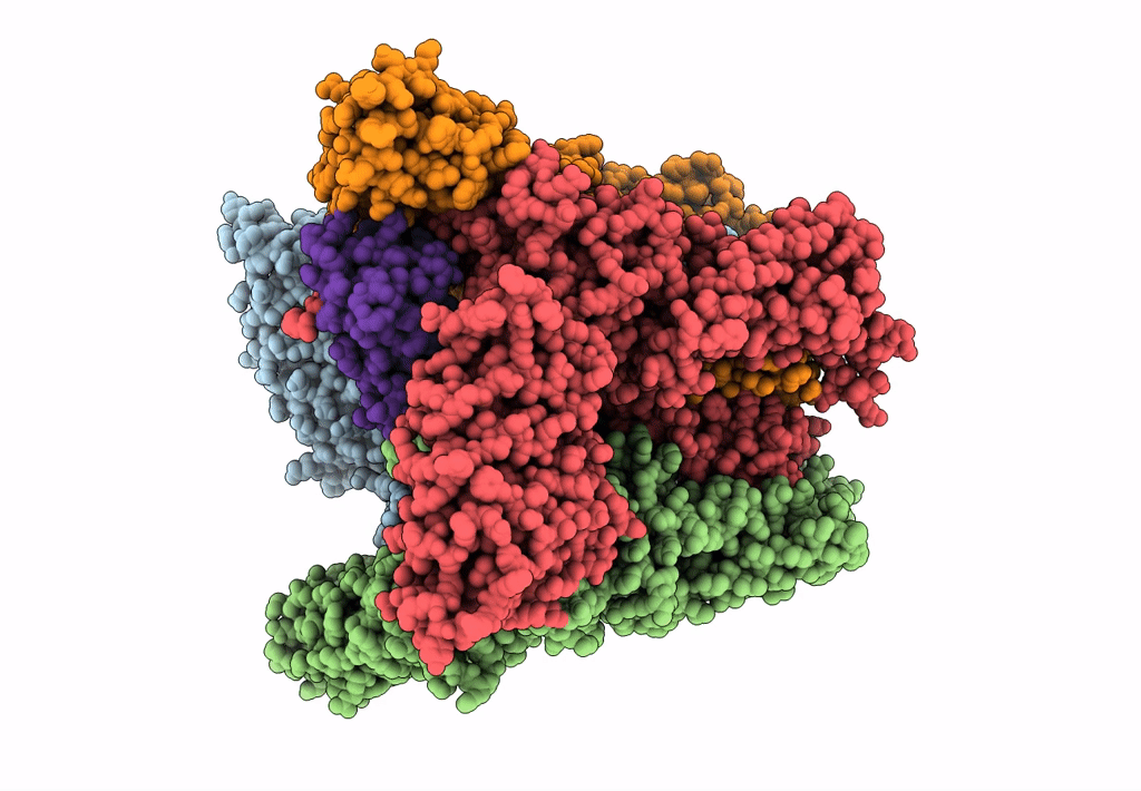 6E2F image