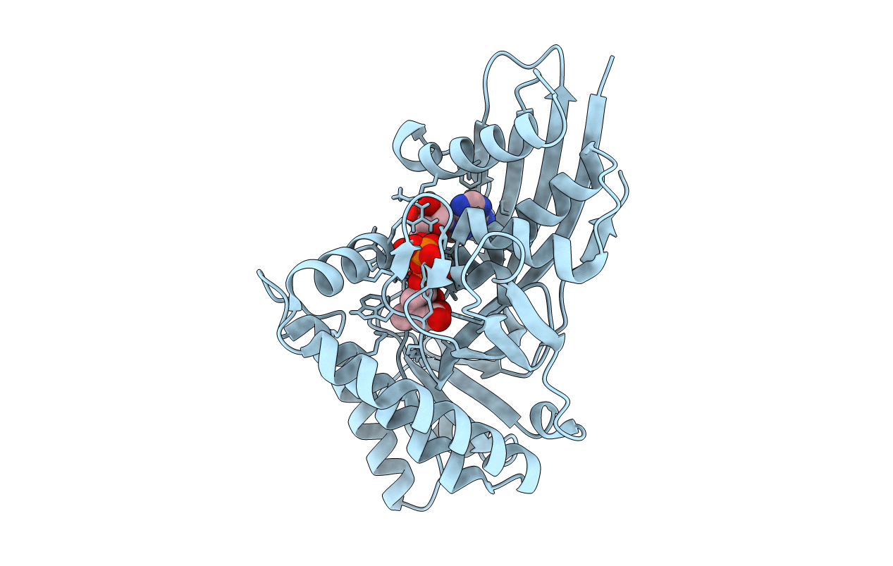 6E2W image