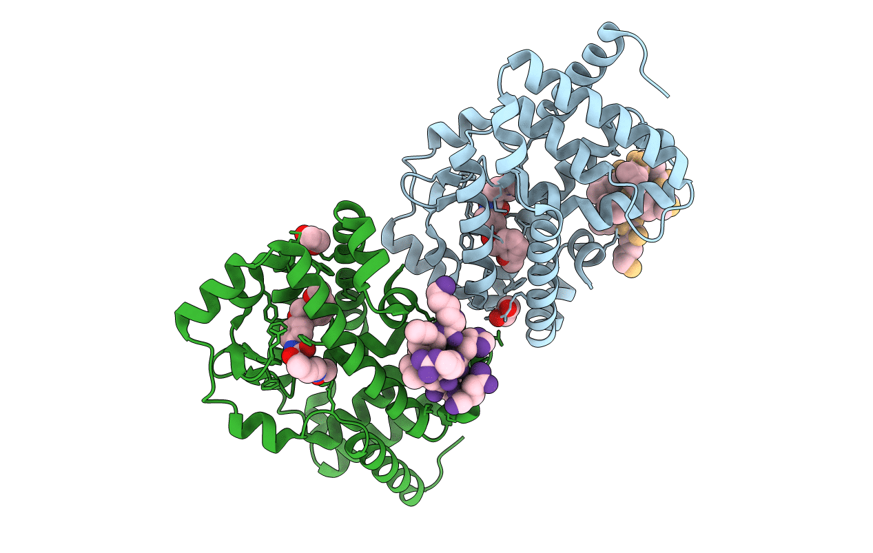 6E3G image