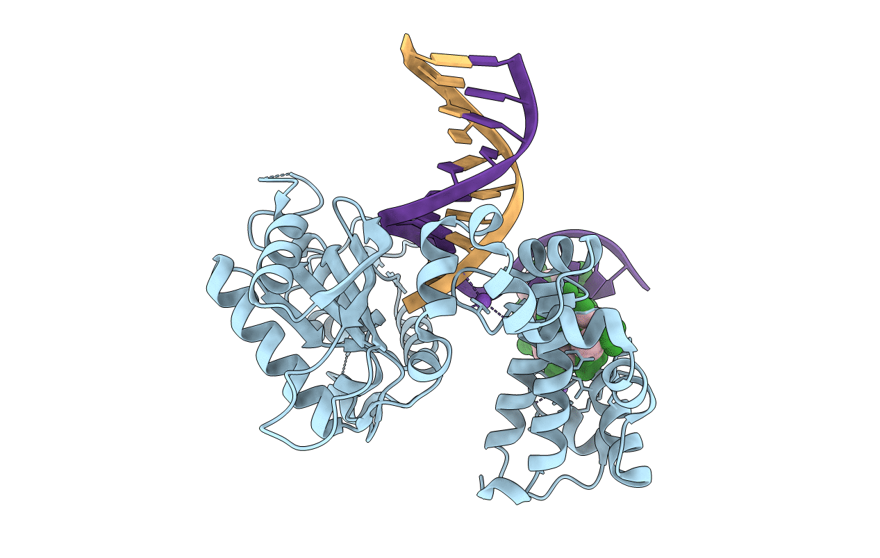 6E3R image