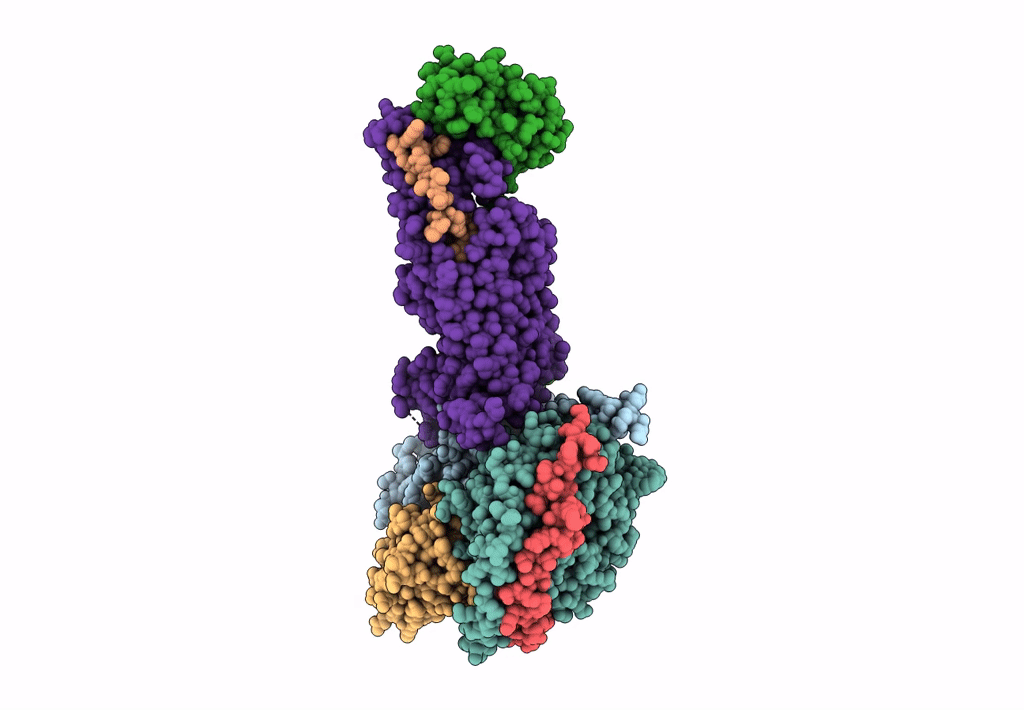 6E3Y image