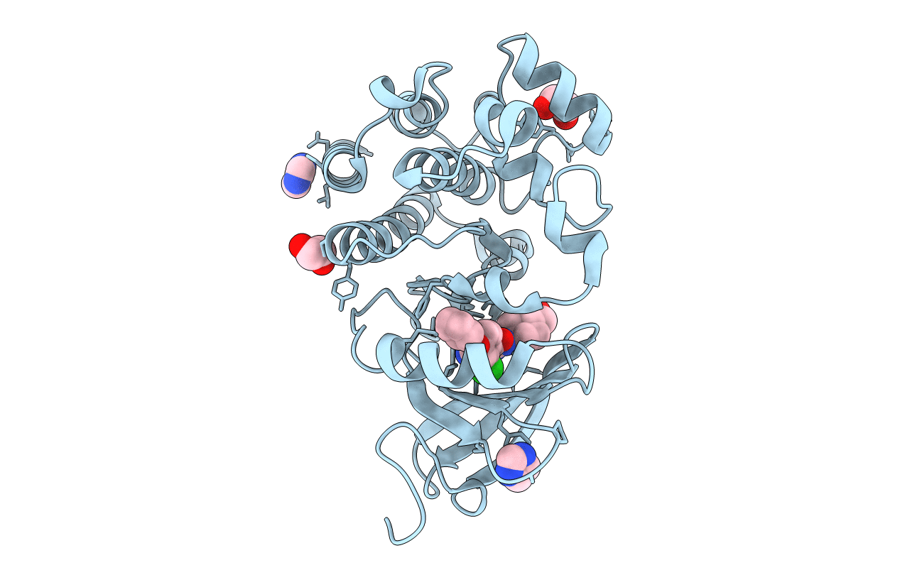 6E4F image
