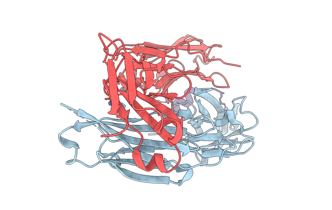 6E4Y image