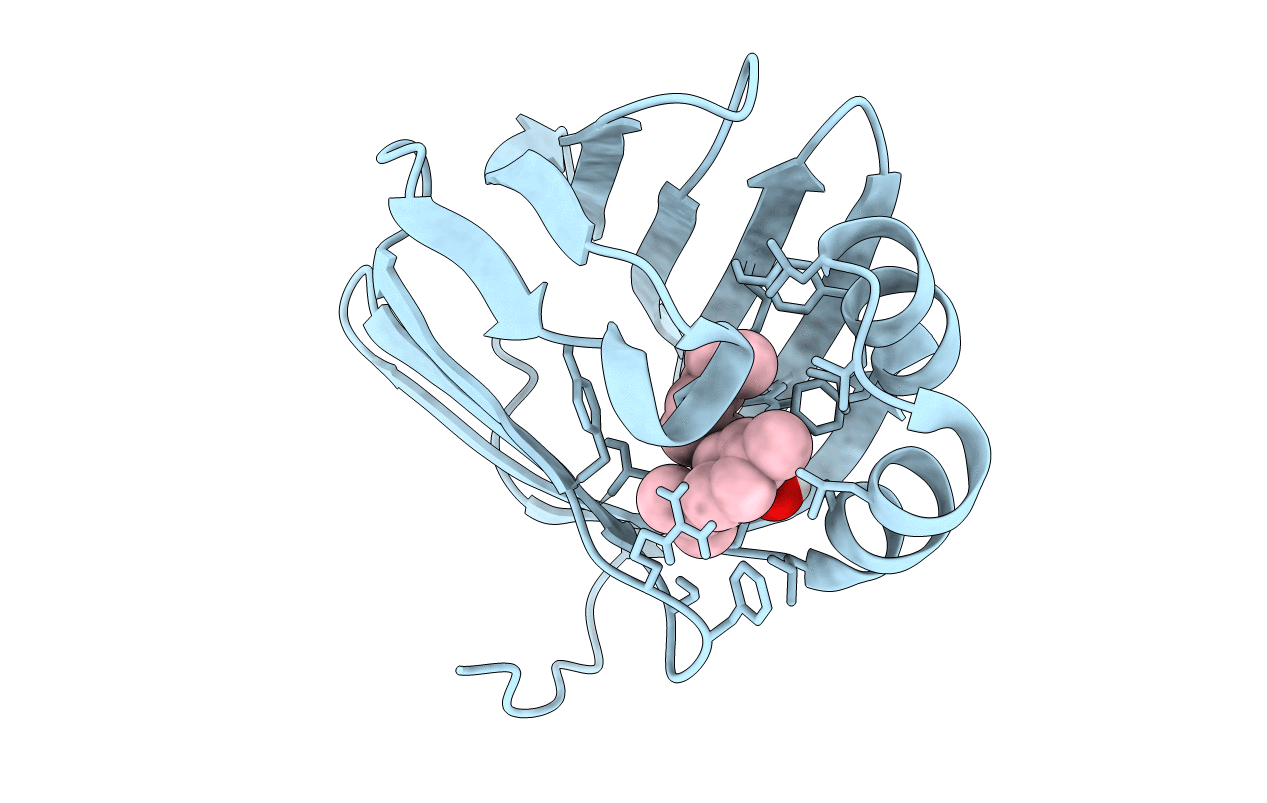 6E5L image