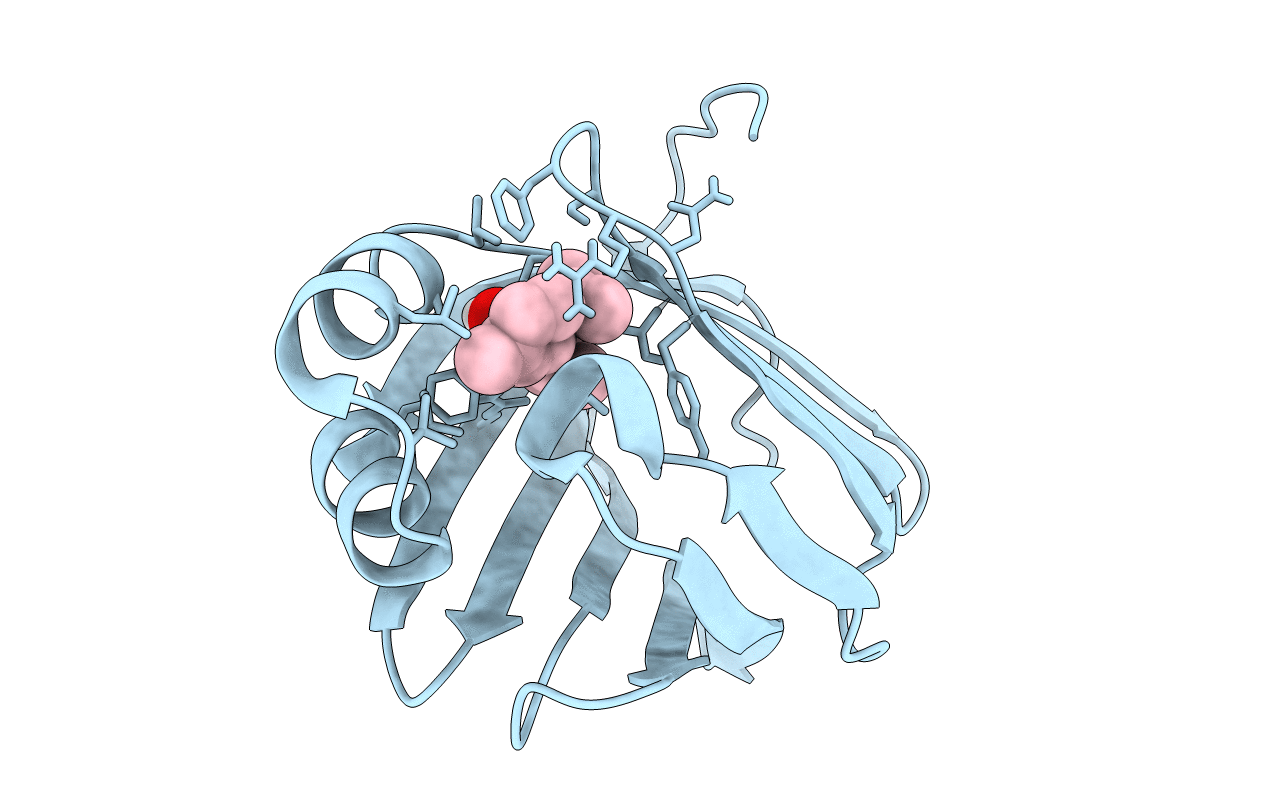 6E5T image