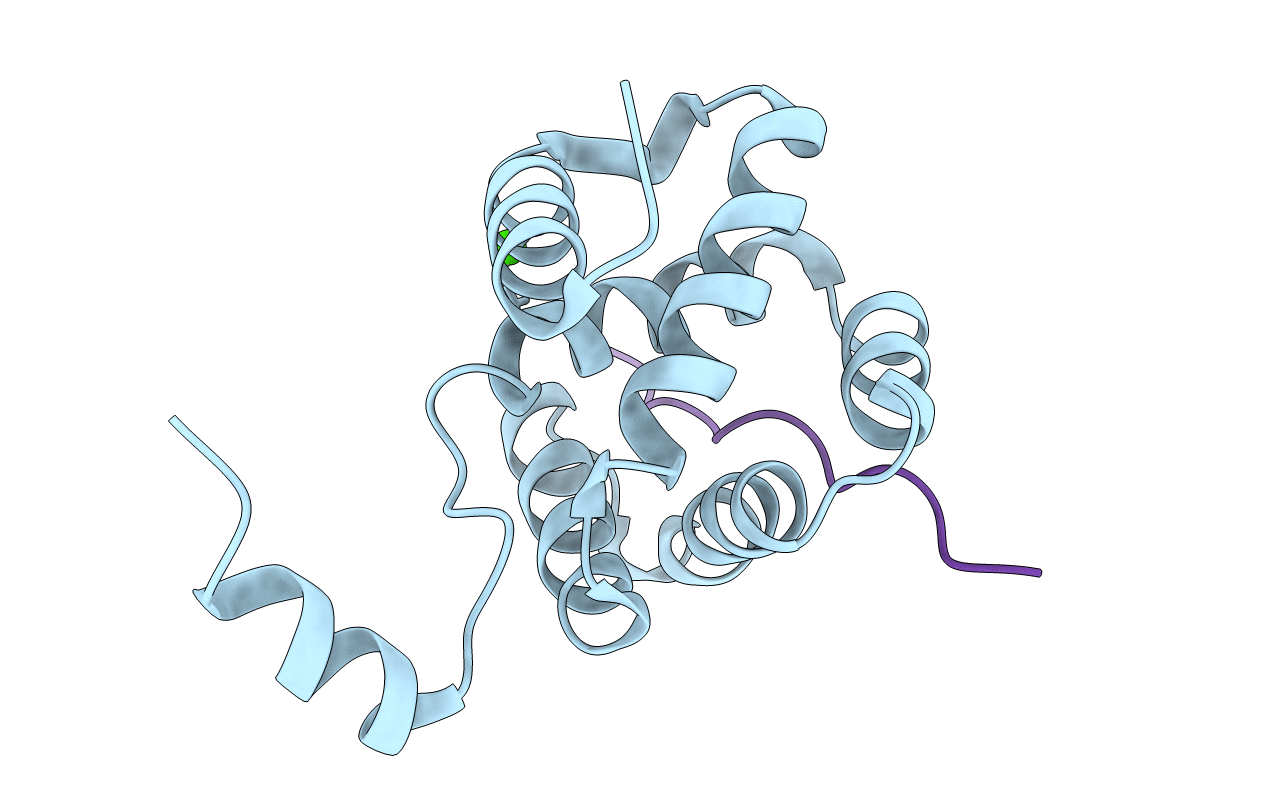 6E5X image