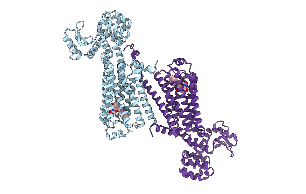 6E67 image