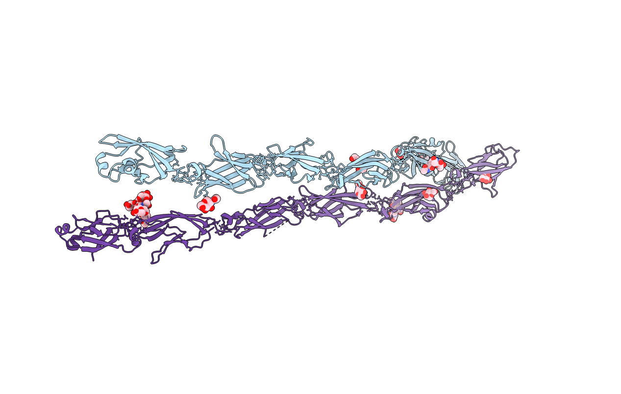 6E6B image