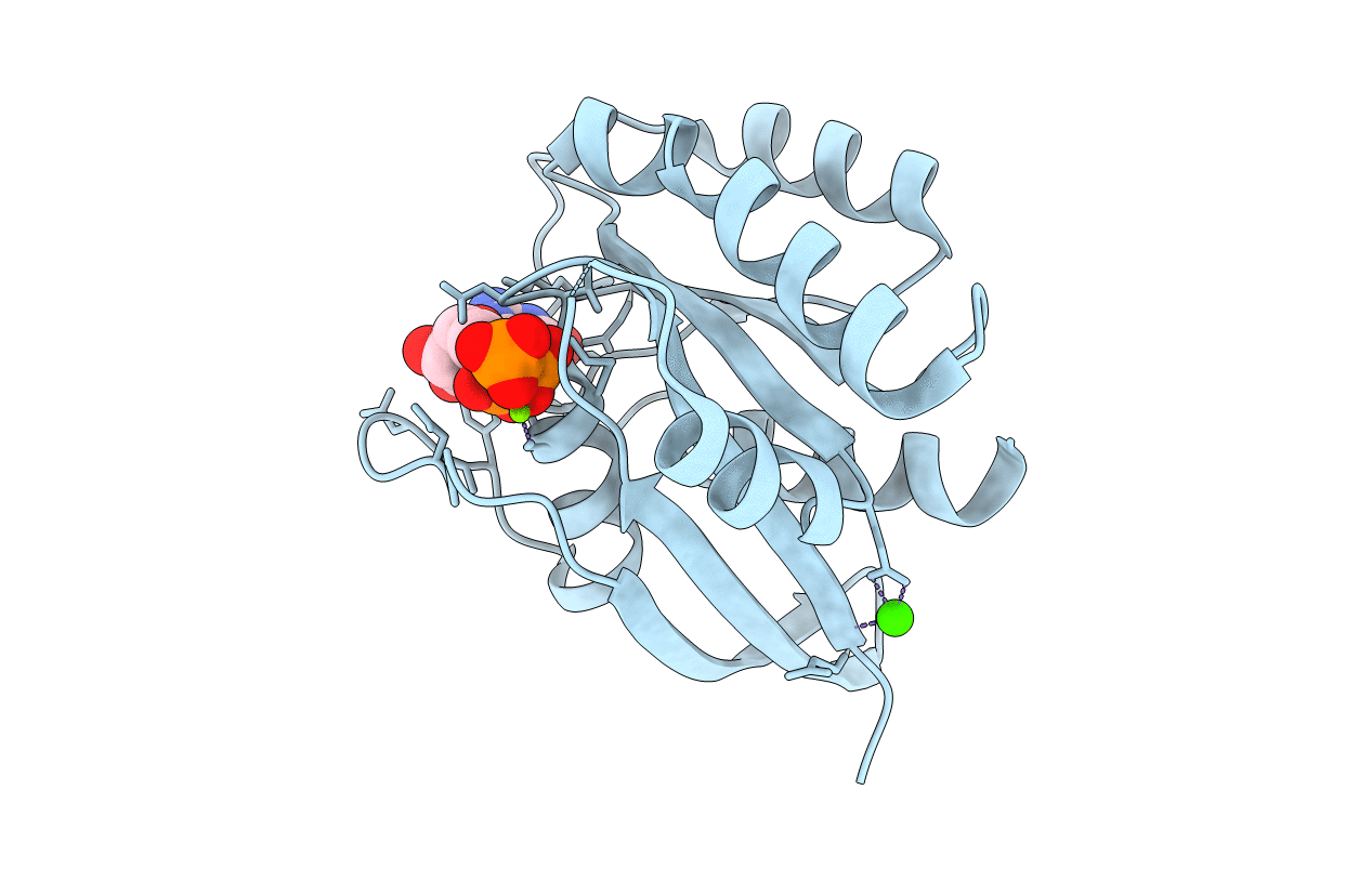 6E6C image
