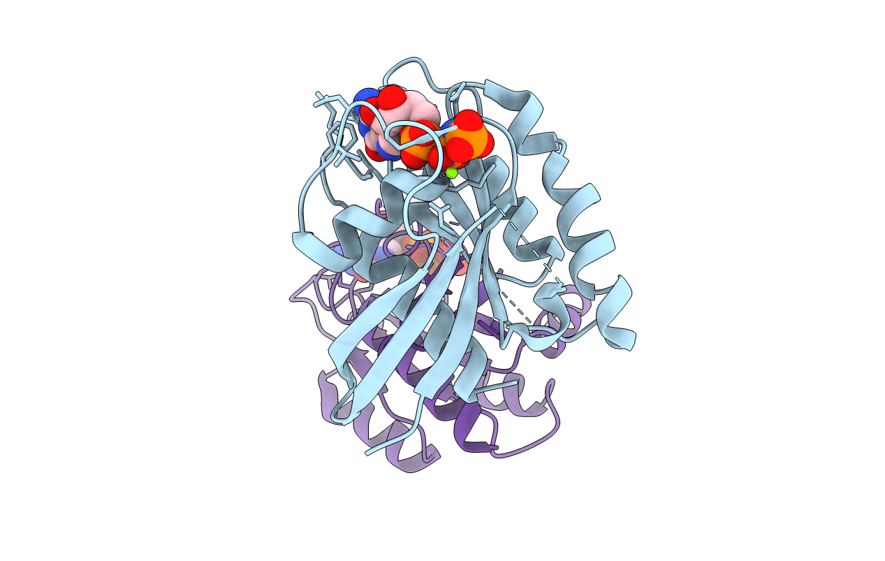 6E6F image