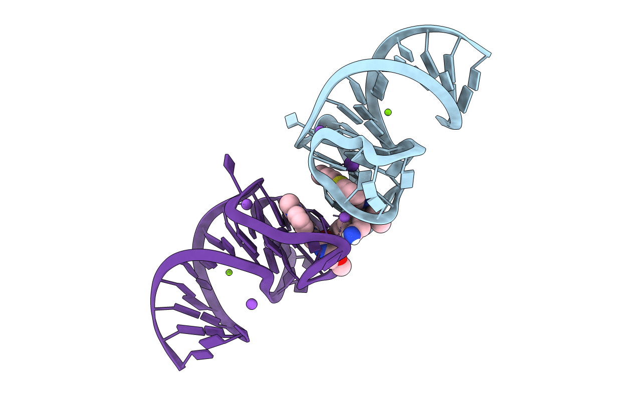 6E8S image