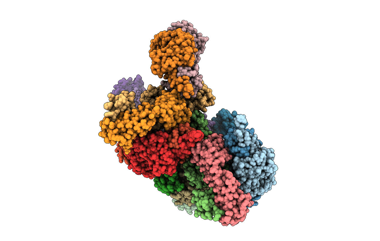 6E8V image