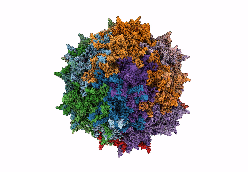 6E9D image