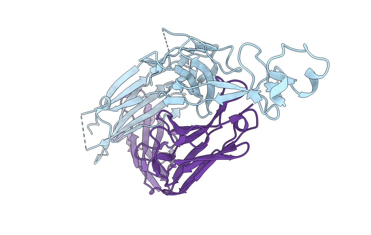 6E9G image