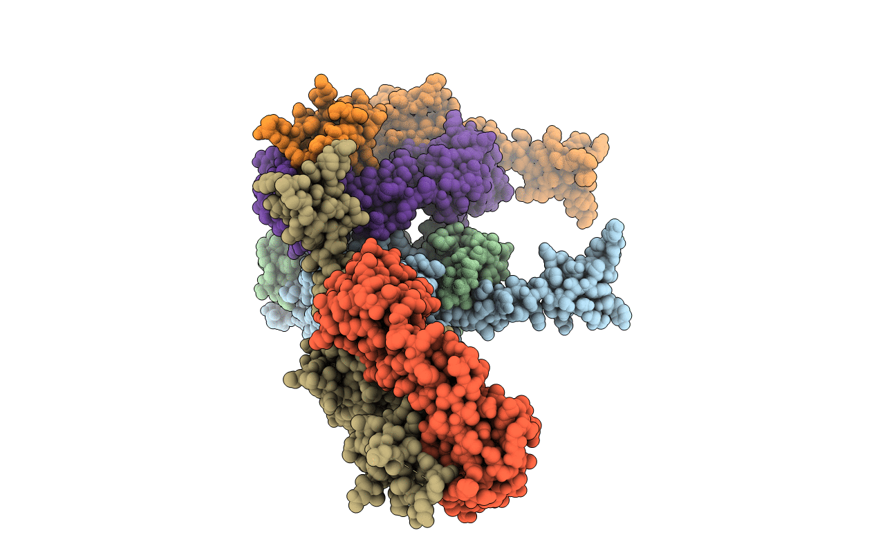 6E9I image