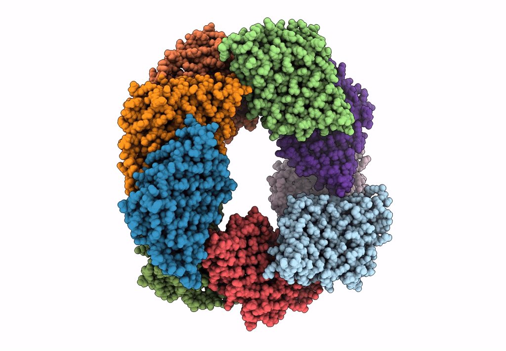 6E9Z image