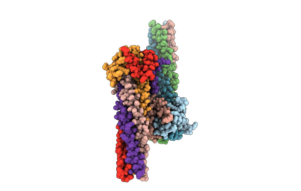 6EB8 image