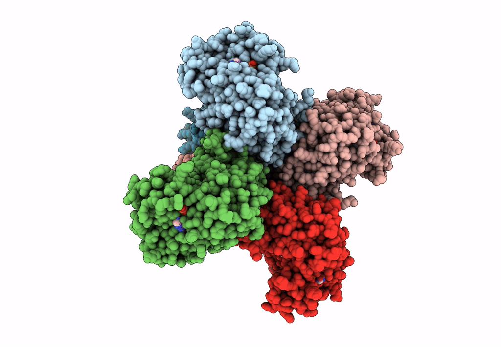 6EBL image