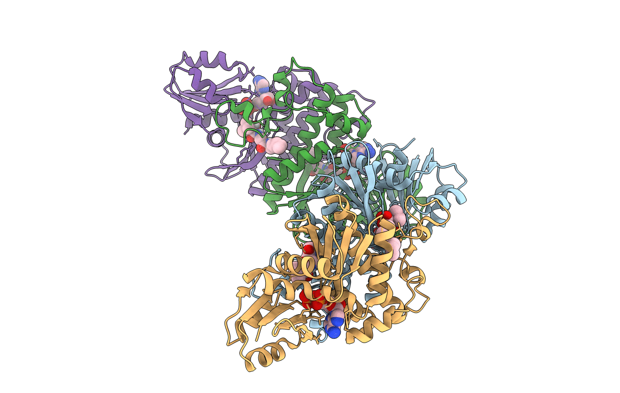 6EBV image