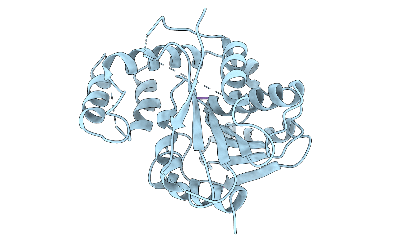 6ECD image
