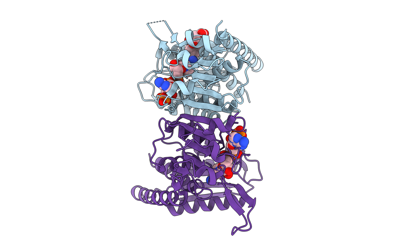 6ECP image