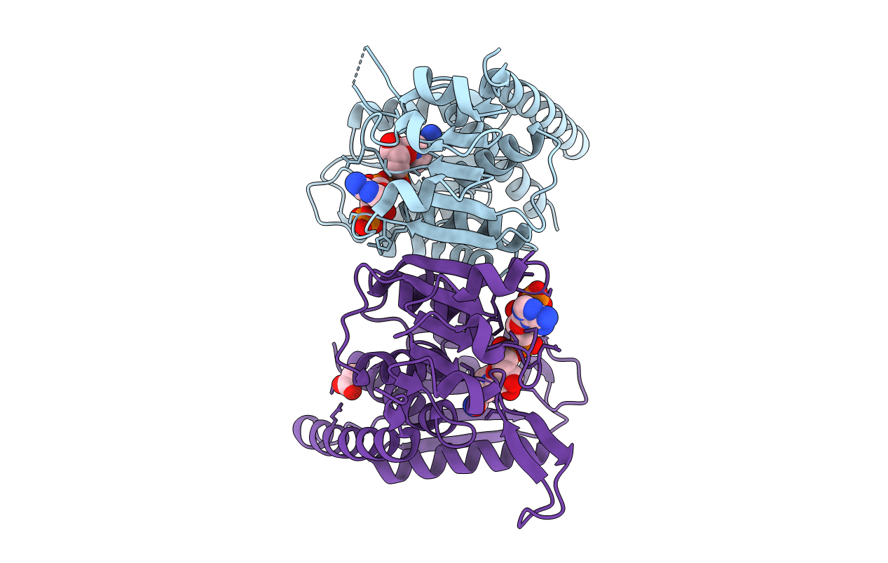 6ECR image