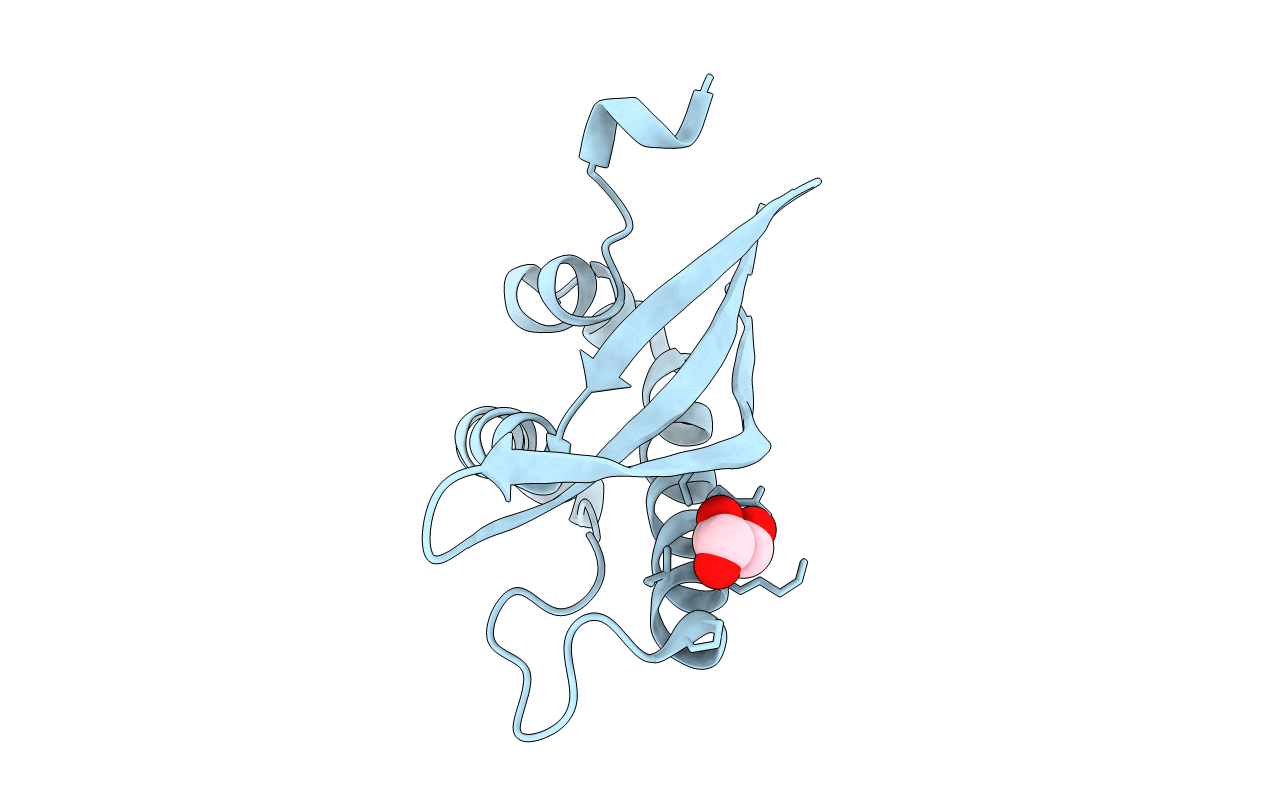 6EDX image