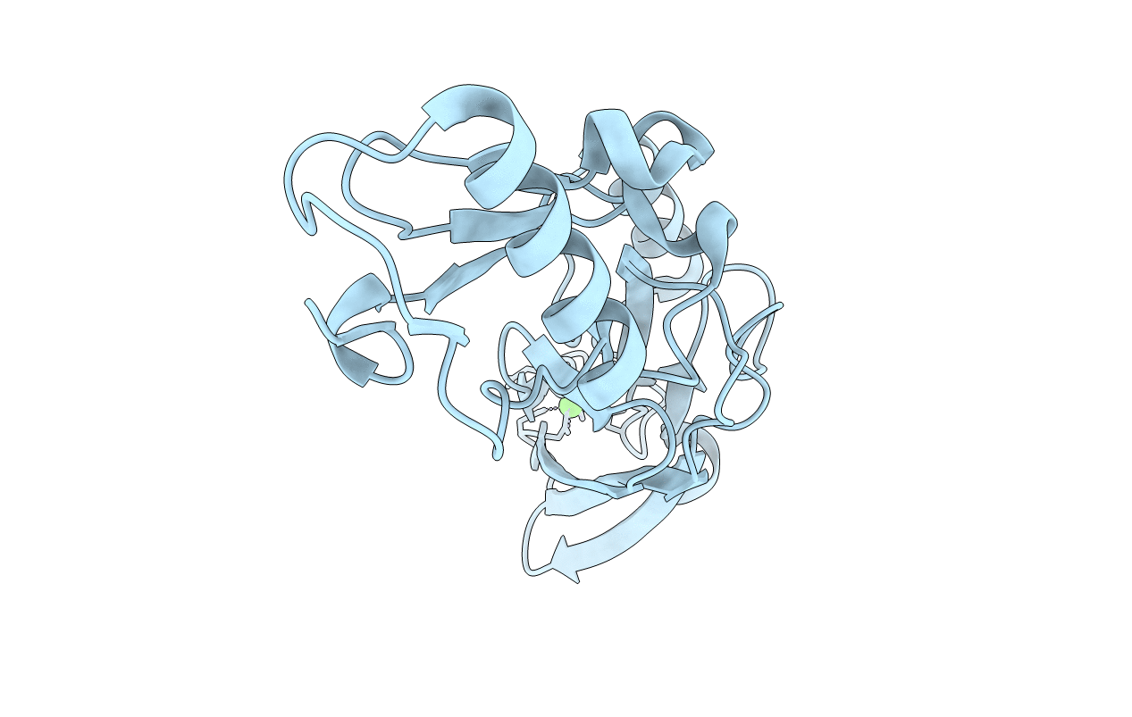 6EFA image