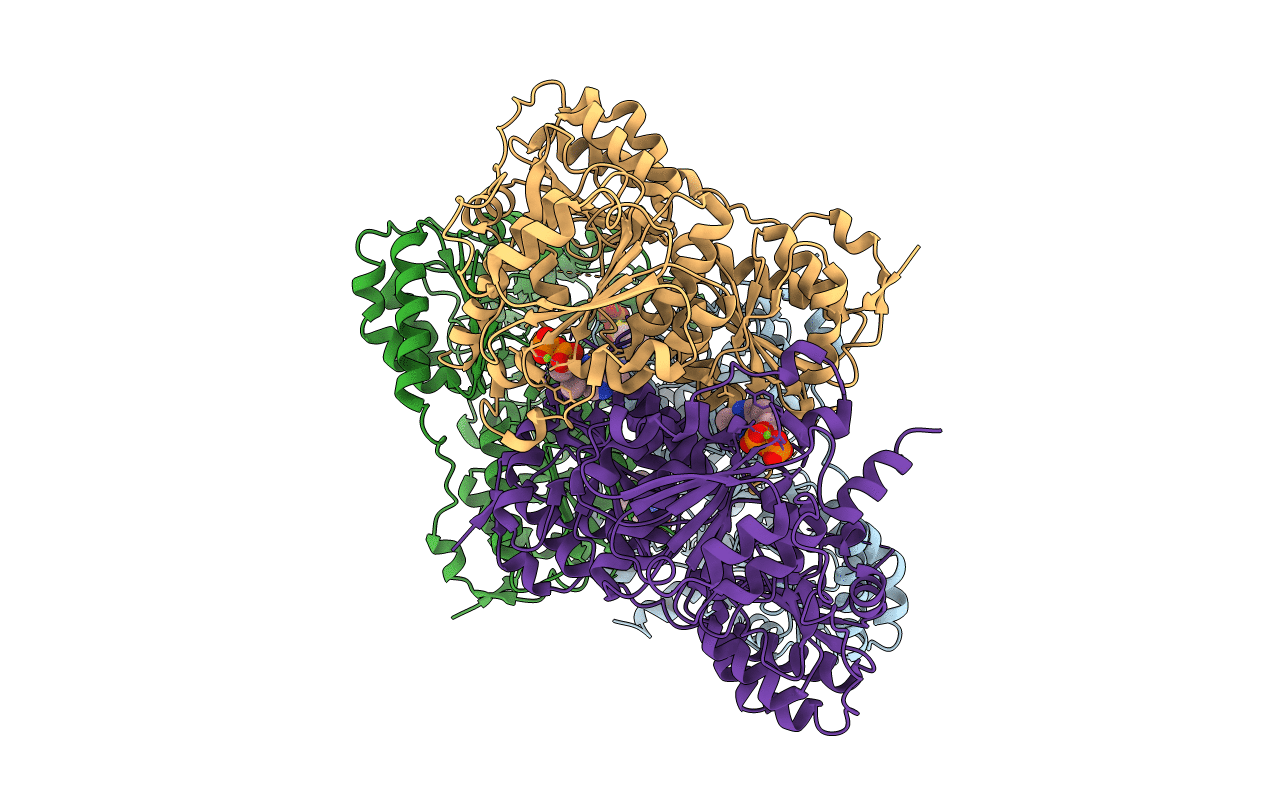 6EFG image