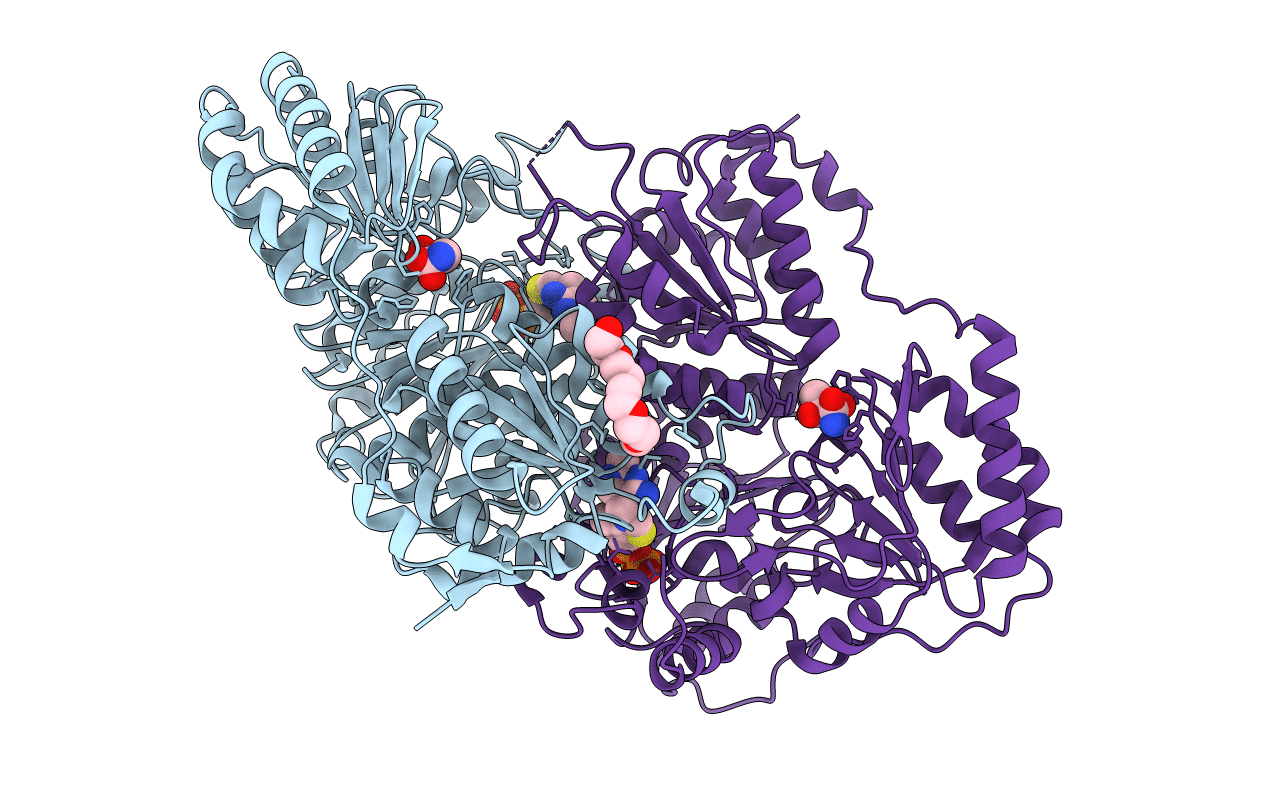 6EFH image