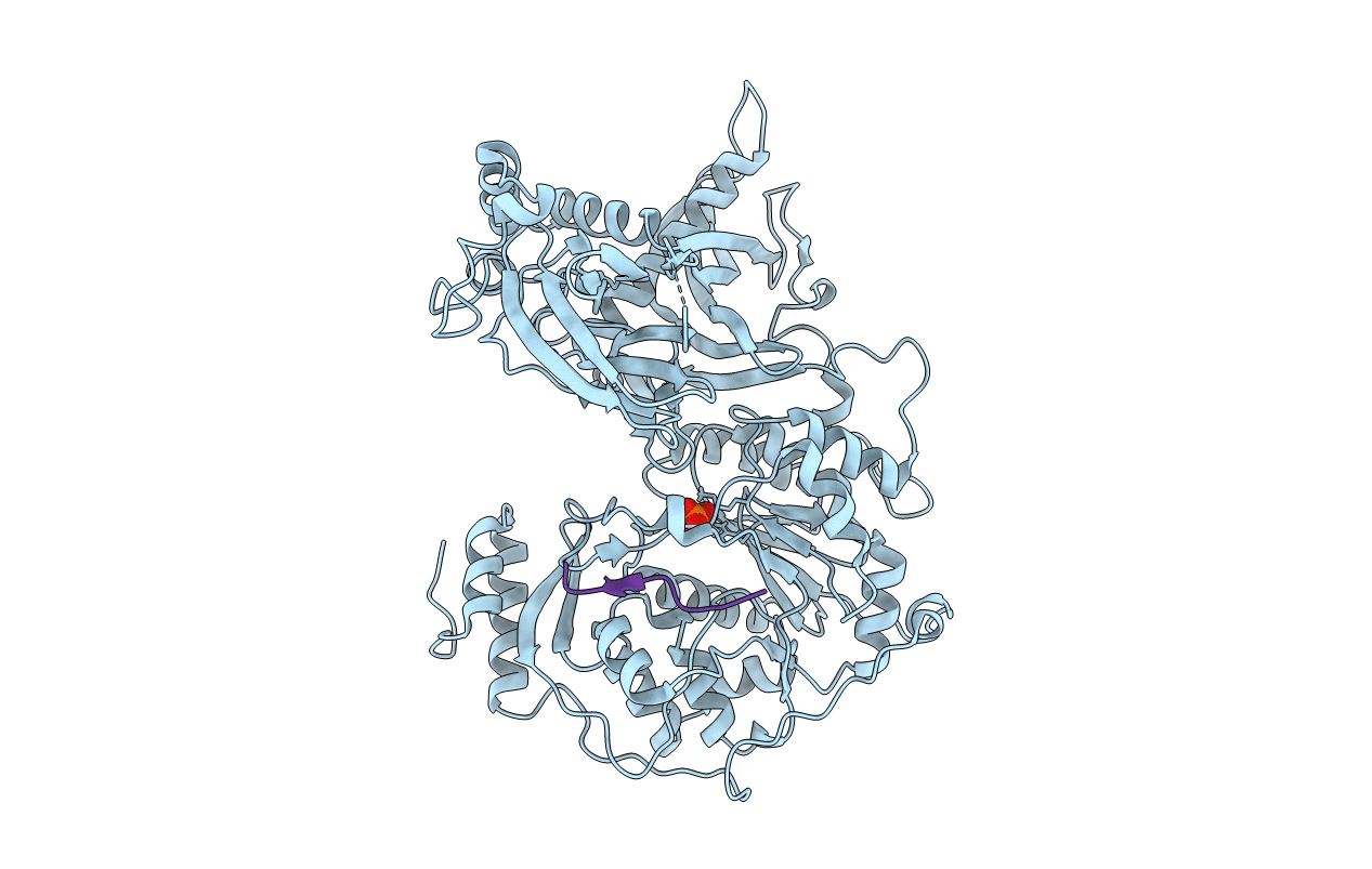 6EJB image