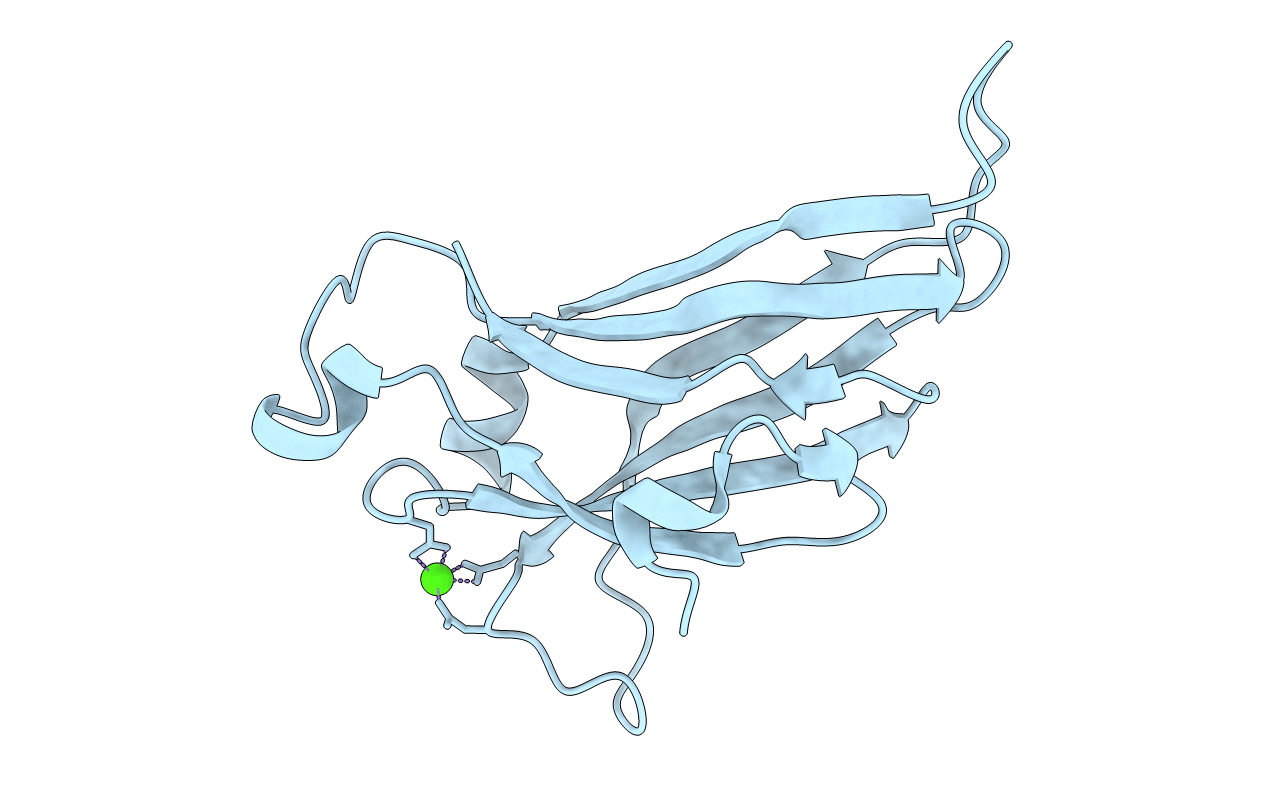 6ELT image