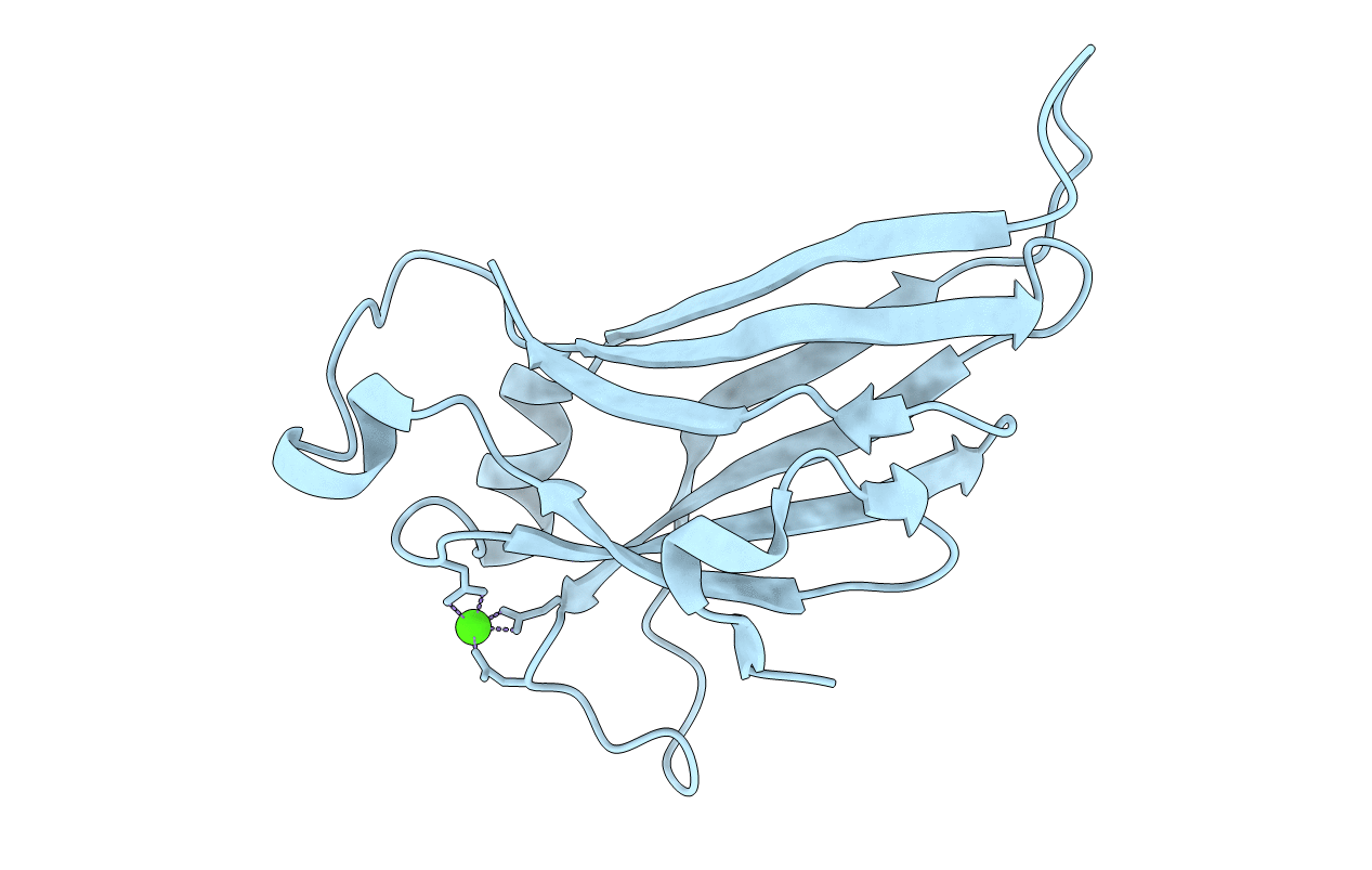 6ELV image