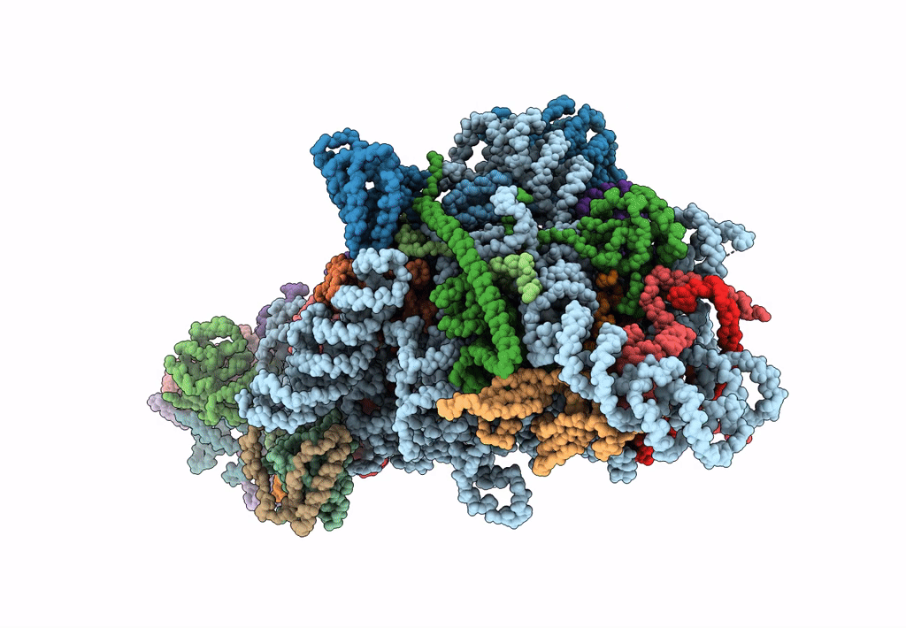 6EM3 image