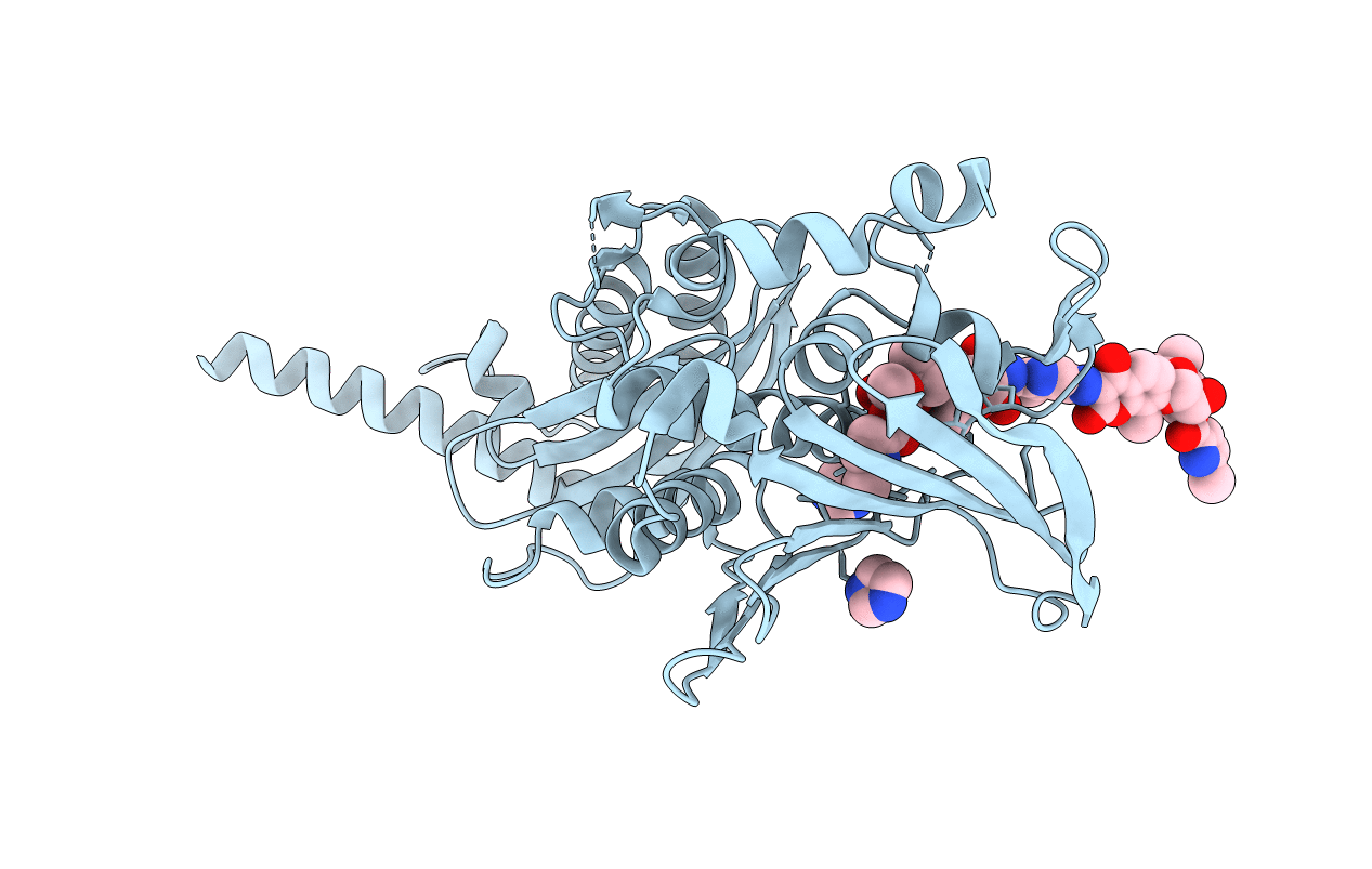 6ENH image