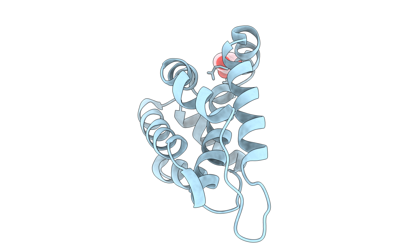 6ENR image