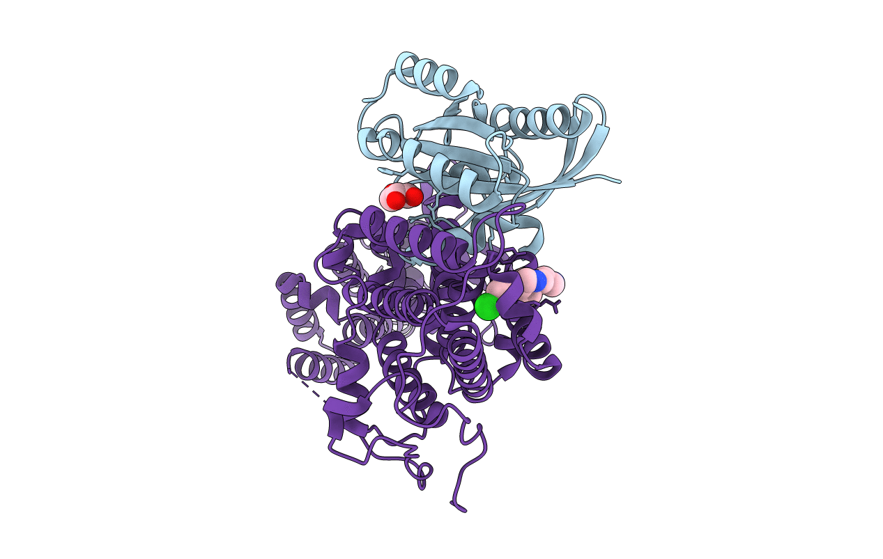 6EPO image