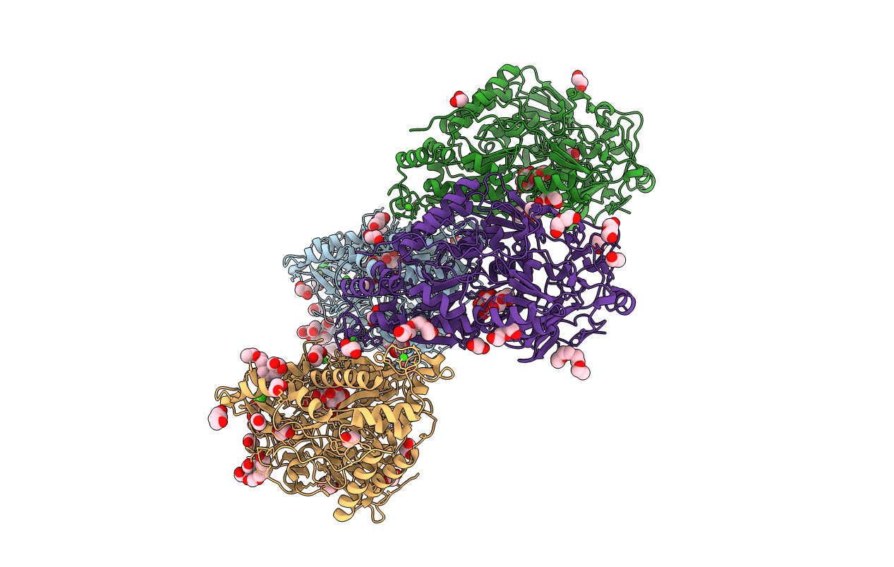 6EQ8 image
