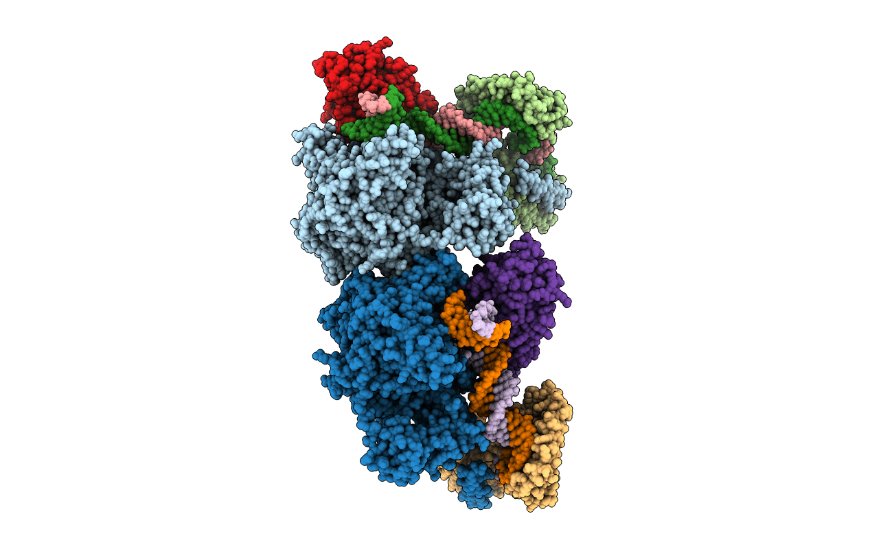6ERP image