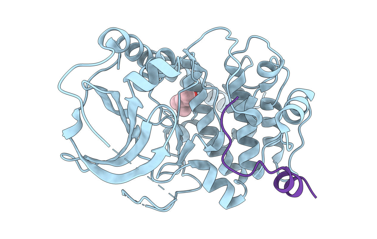 6ERV image