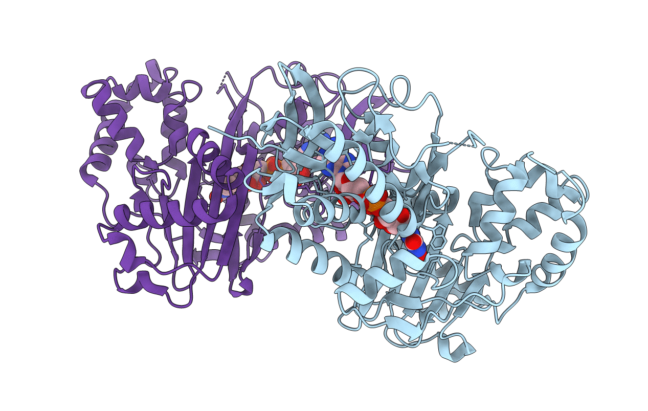 6ESD image