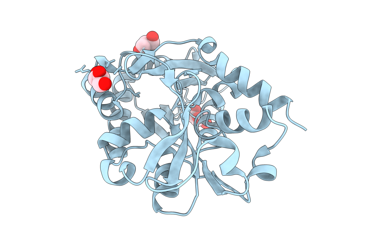 6ESK image