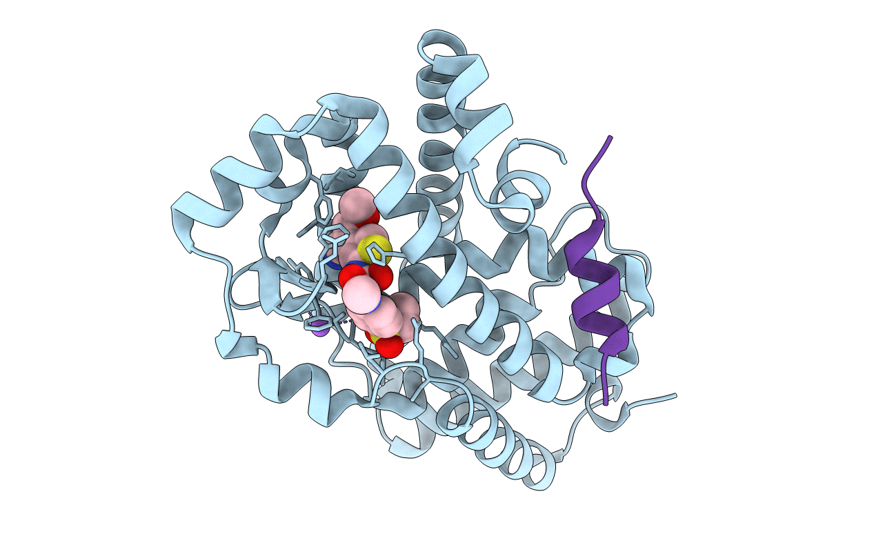 6ESN image