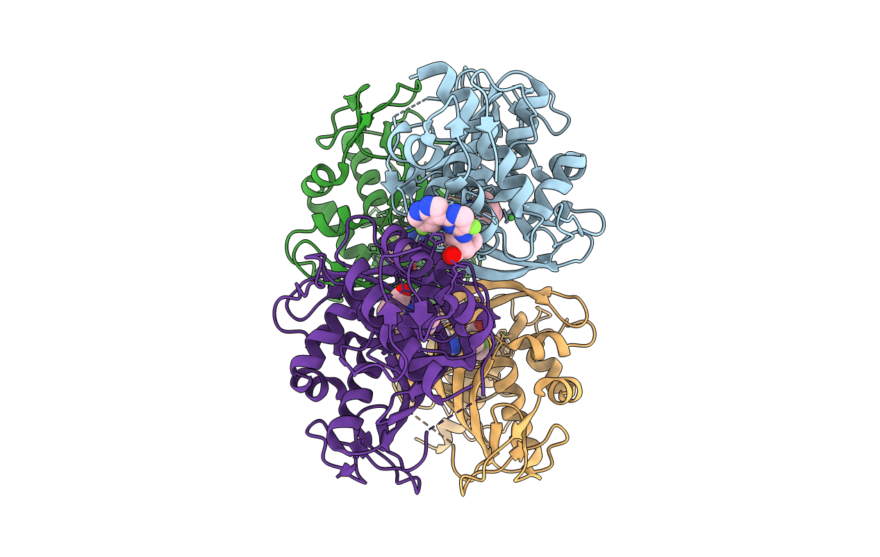 6EUV image