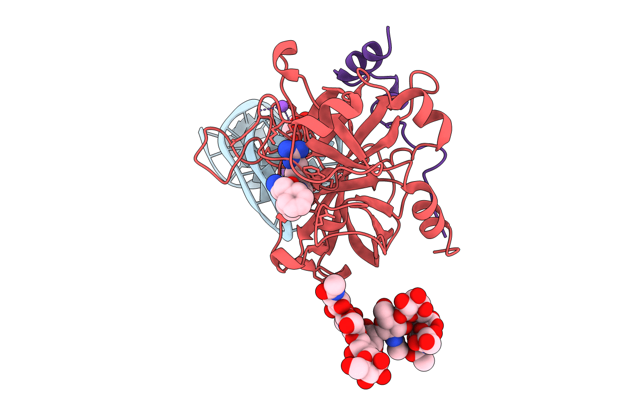 6EVV image
