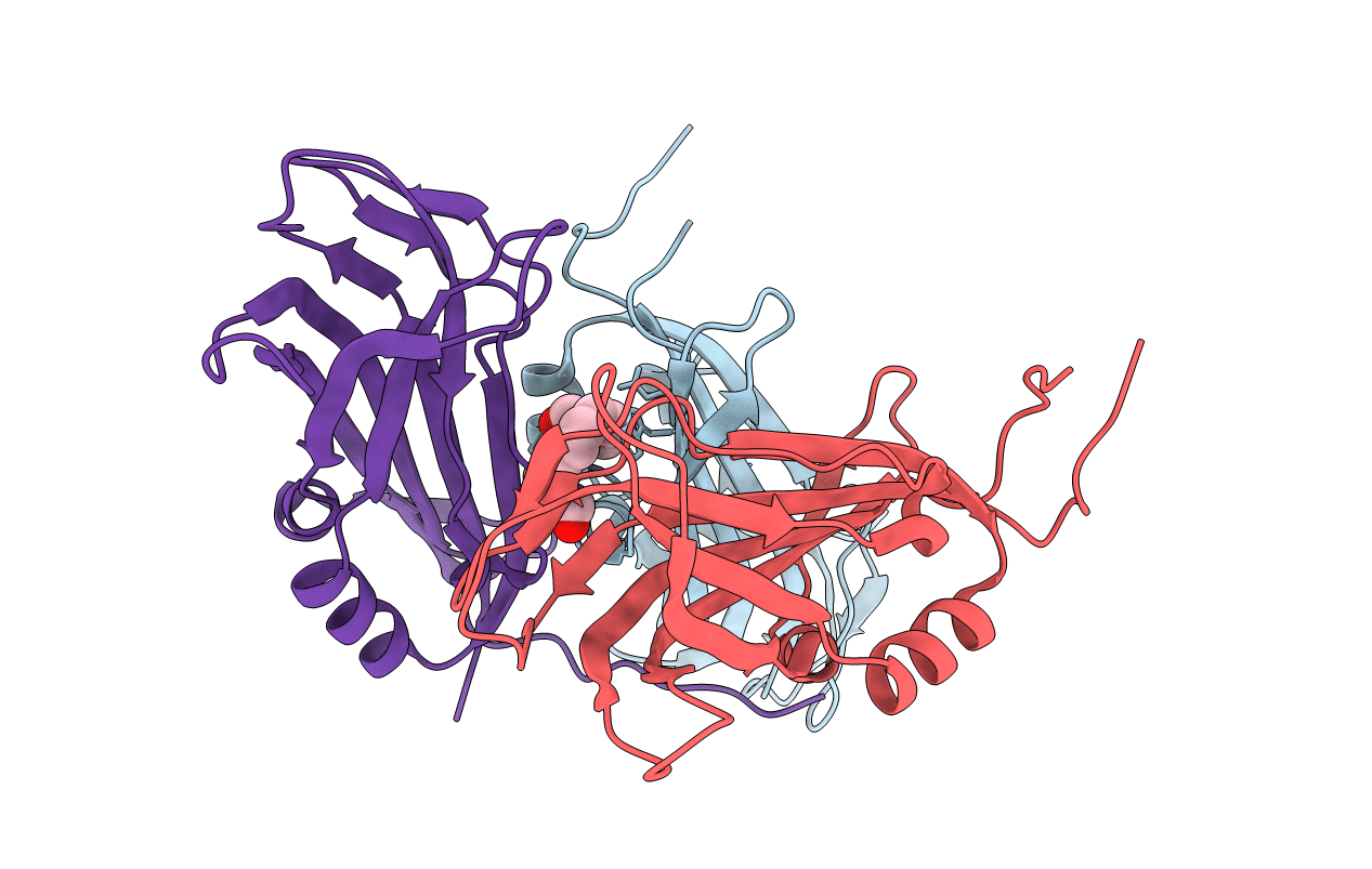 6EWP image