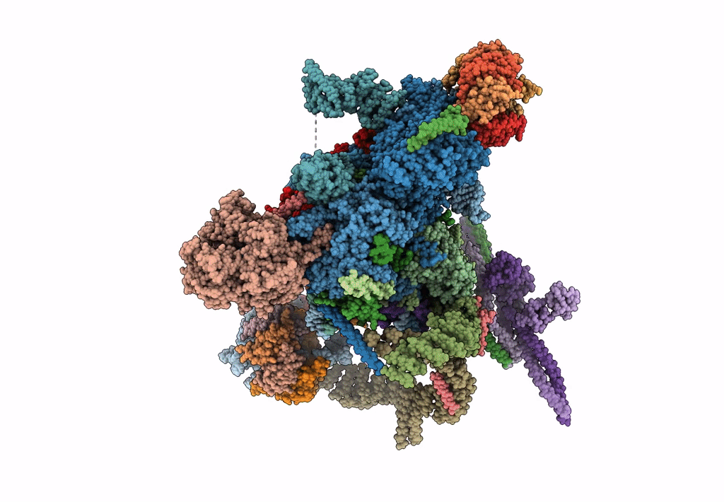 6EXN image
