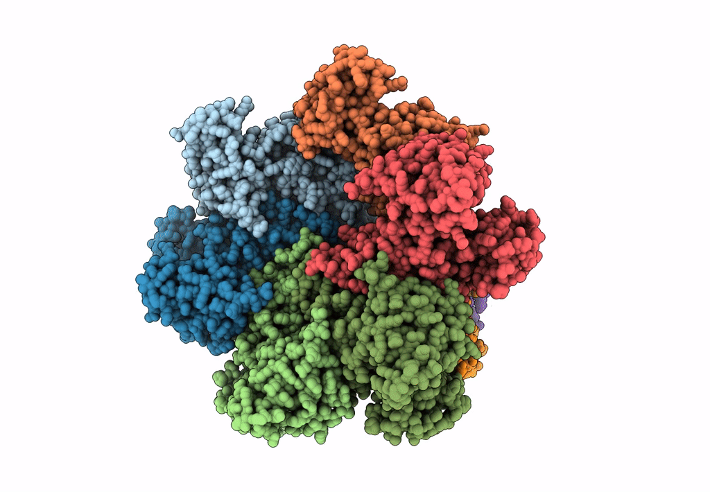 6F0X image