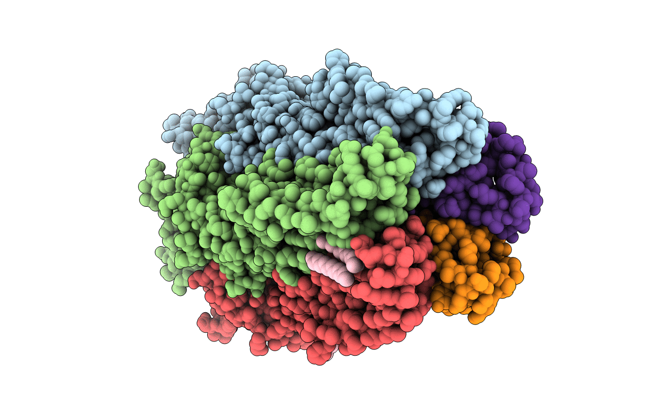 6F11 image