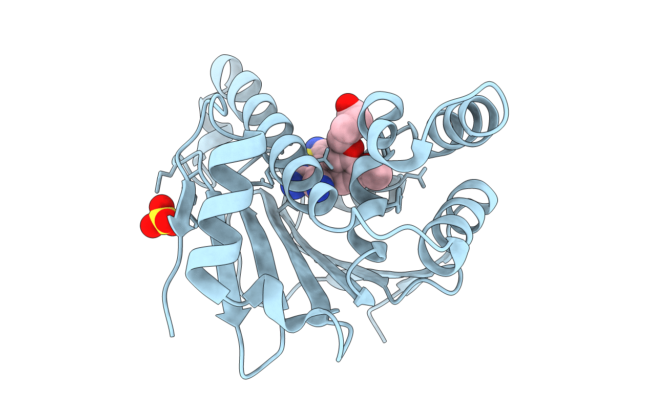 6F1N image